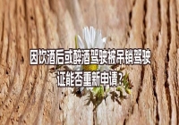 因飲酒后或醉酒駕駛被吊銷駕駛證能否重新申請？