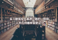 實習期駕車上高速公路的，陪同人員應持哪種駕駛證？