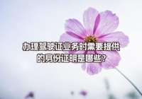 辦理駕駛證業(yè)務(wù)時需要提供的身份證明是哪些？