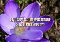 對小型汽車、摩托車等駕駛?cè)藢忩炗心男┮?guī)定？