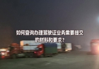 查詢辦理駕駛證業(yè)務(wù)需要提交的材料和要求